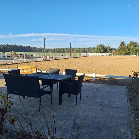 Auf Dem Pferdehof Am Gestuetsweg